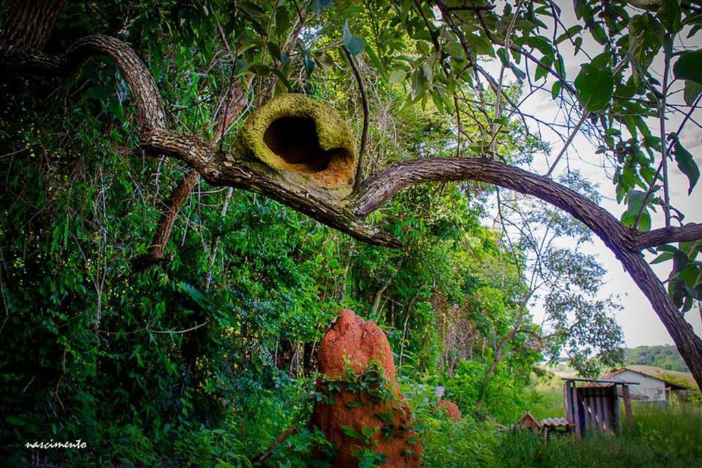Pousada Shangrila Sao Thome São Tomé das Letras المظهر الخارجي الصورة