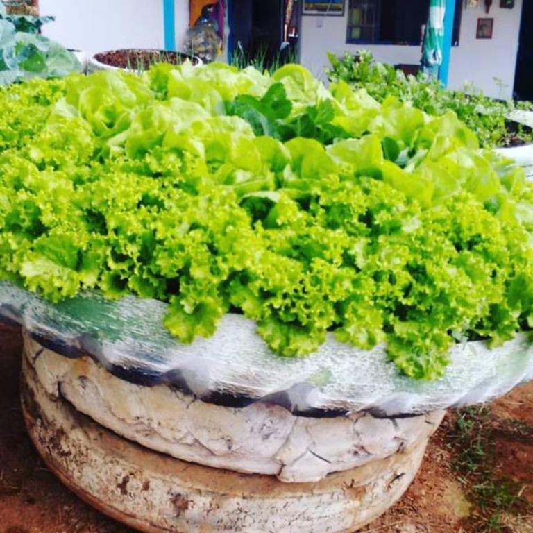 Pousada Shangrila Sao Thome São Tomé das Letras المظهر الخارجي الصورة